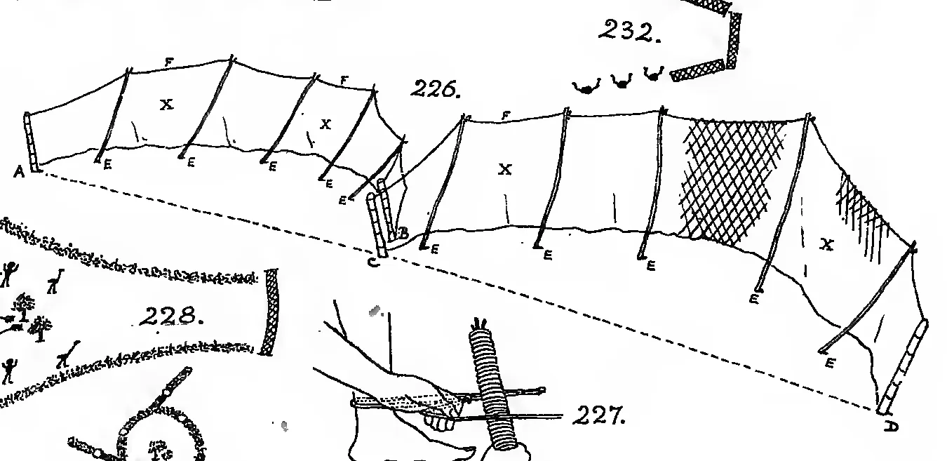 Line drawings of a long hunting net staked up on forked supports, three nets set as three sides of a square with kangaroo tracks entering, a bough alley, and hands weaving a net