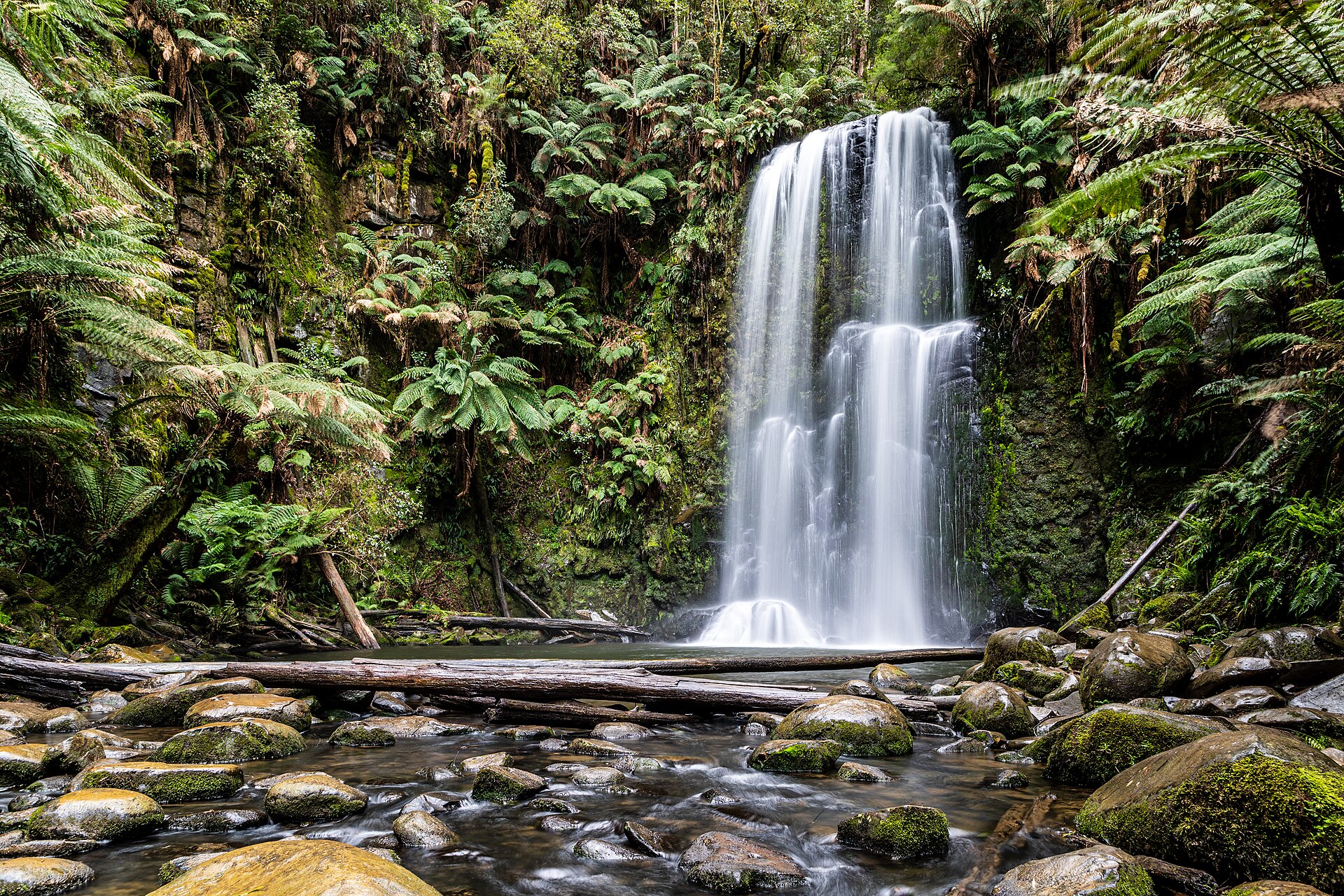 Into the bush: rainforest (Madja) — Kuku Yalanji story