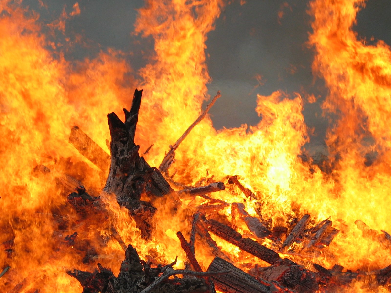 Making fire: fire (Baya) — Kuku Yalanji story