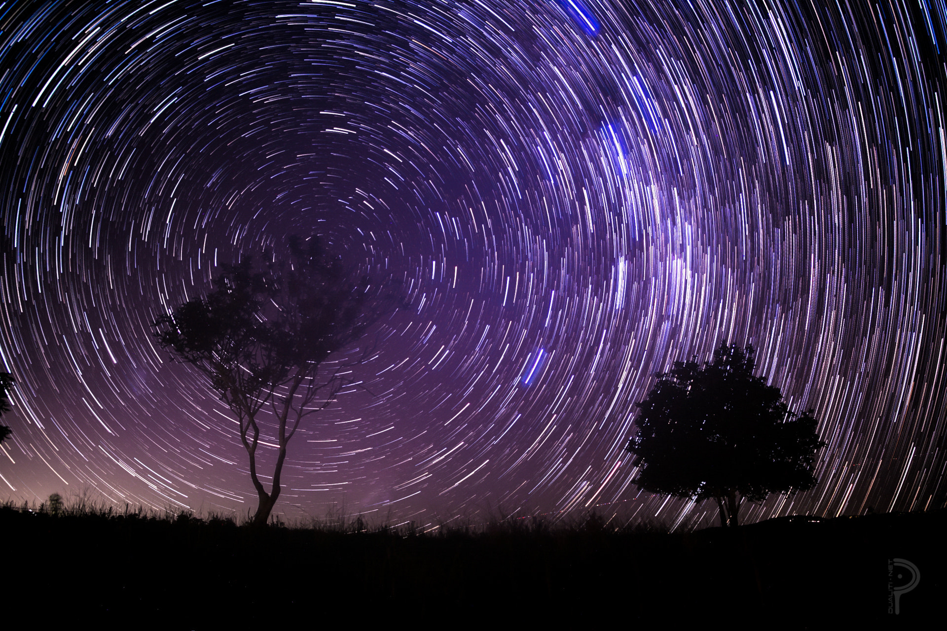 Under the stars: night (Wujurr) — Kuku Yalanji story